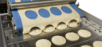 //jororwxhoqjlln5p.ldycdn.com/cloud/liBmqKqplmSRmkmpjlmijr/lang-bakery-equipment2.jpg