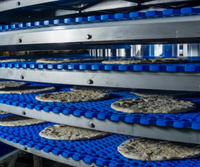 //jororwxhoqjlln5p.ldycdn.com/cloud/llBmqKqplmSRmknpnmmrjr/bakery-conveyor-equipment1.jpg