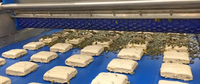 //jororwxhoqjlln5p.ldycdn.com/cloud/lqBpqKqplmSRmkrmiqoojm/rademaker-bakery-equipment1.jpg