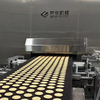 Hybrid Tunnel Oven ƒe dzodoƒe