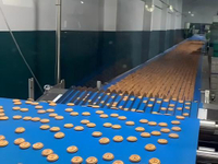 //jororwxhoqjlln5p.ldycdn.com/cloud/pnBmqKqplmSRmlmjqiqojr/After-upgrading-the-biscuit-production-line-ርት-line.jpg