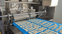 //jororwxhoqjlln5p.ldycdn.com/cloud/ppBpqKqplmSRqlrjmprpjm/Pretzel-Biscuit-Production-Line.jpg